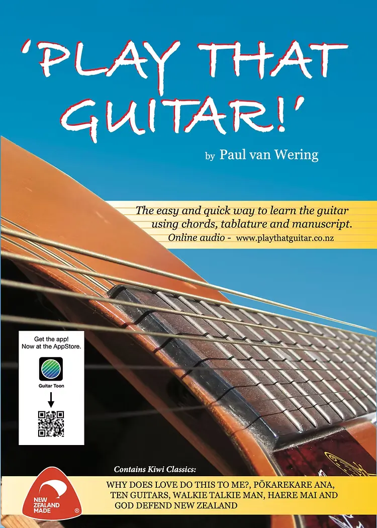 Play That Guitar! book cover